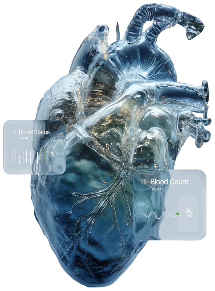 Cœur — chirurgie cardio-vasculaire